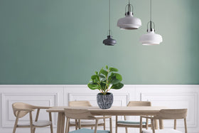 AlphaAcc detailed leaves catch light for realistic indoor greenery.
