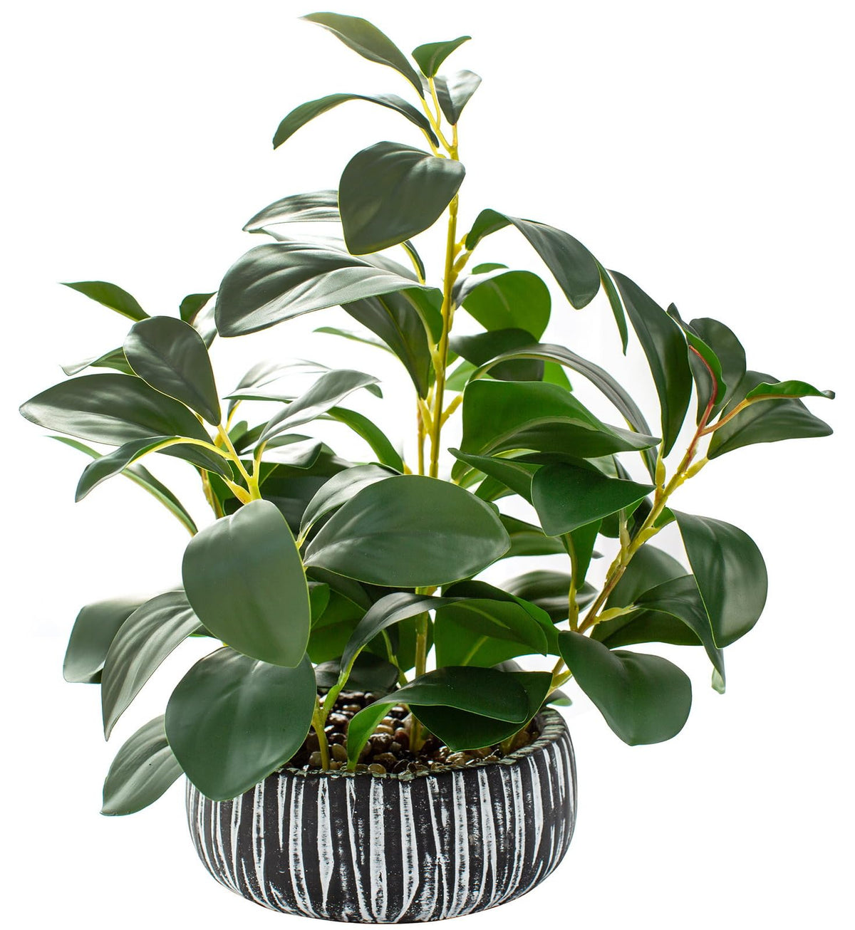 AlphaAcc fiddle leaf fig in pot elevates living room decor with vibrant greenery.