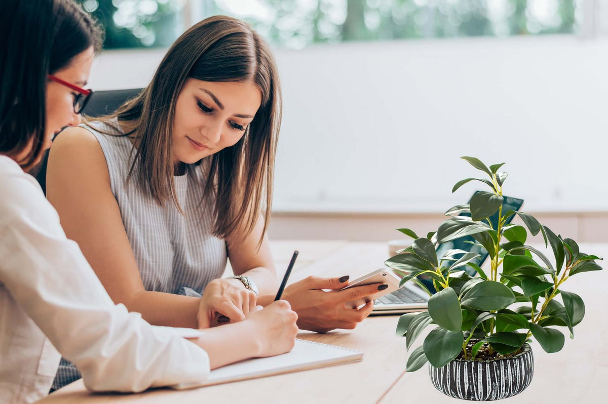 AlphaAcc artificial plant requires no watering, ideal for busy households.