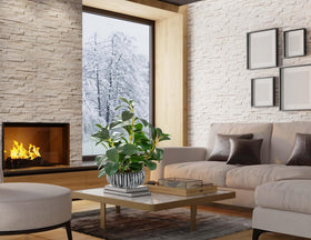 AlphaAcc rustic black clay pot complements modern interiors with sturdy planter.