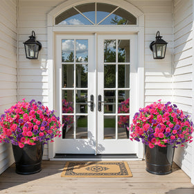 Creates a blooming outdoor focal point with minimal maintenance.