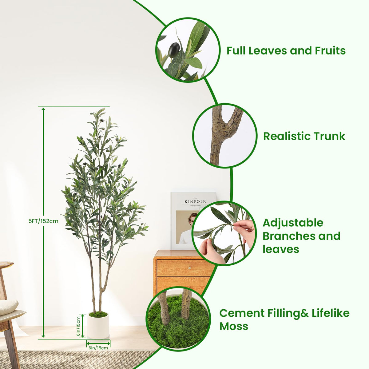 Alupssuc olive tree in black pot showcases easy indoor setup