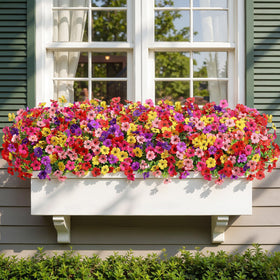 Alupssuc daisy bundle with five stems for creative placements