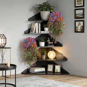 Alupssuc easy-care design requires no watering or soil.