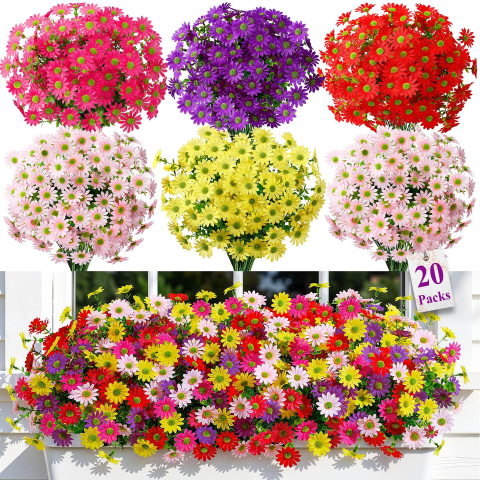 Alupssuc daisies on outdoor porch deliver vibrant year-round color.