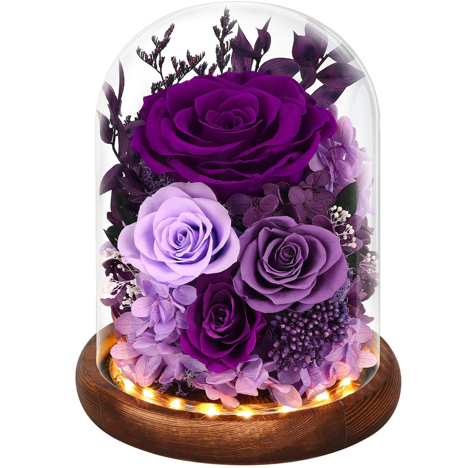 Alupssuc Forever Rose in a glass dome with LED base; lasting romance centerpiece.