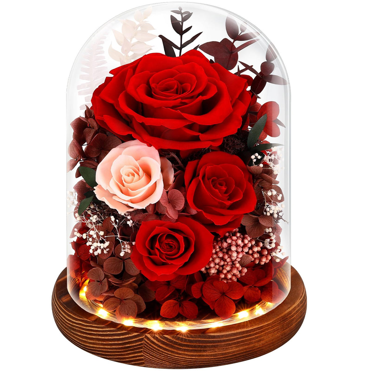 Alupssuc Forever Roses in a glass dome with LED lighting for a lasting romantic gesture.