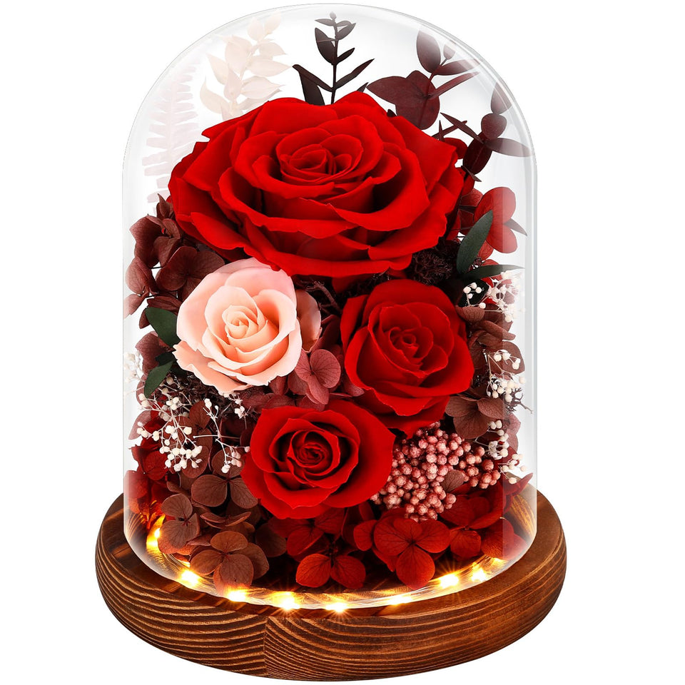 Alupssuc Forever Roses in a glass dome with LED lighting for a lasting romantic gesture.