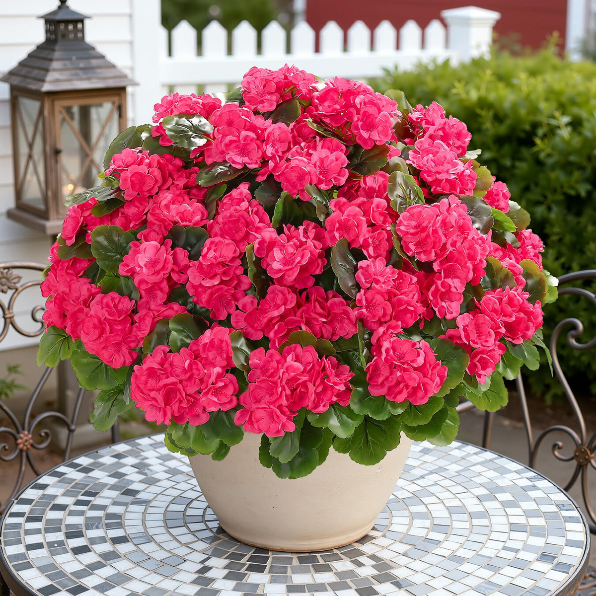 Alupssuc sunproof geraniums brighten patios and entries year-round.