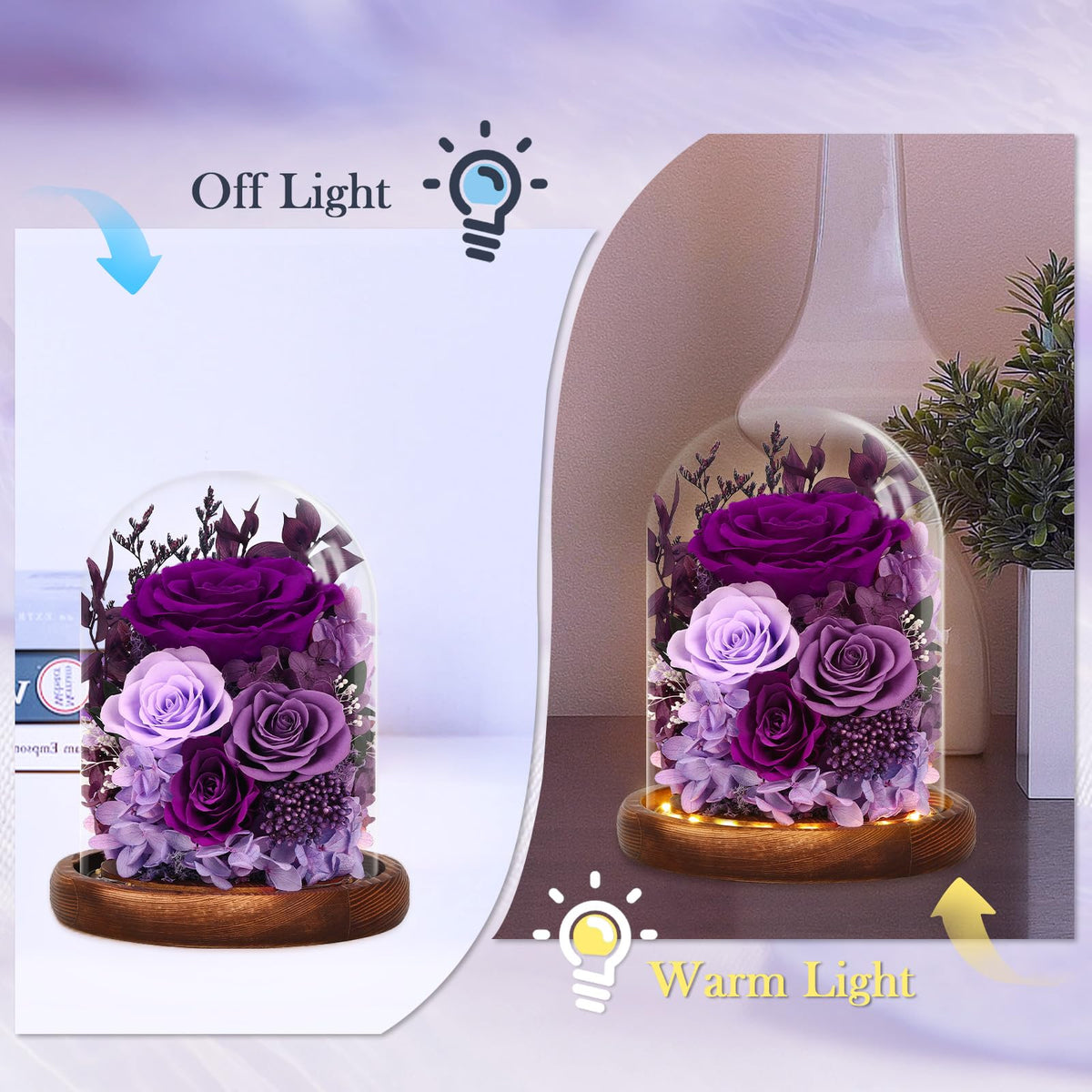 Alupssuc LED base bathes the rose in warm ambient light.