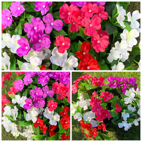 Alupssuc lifelike blooms closeup showcases realistic texture for versatile displays.