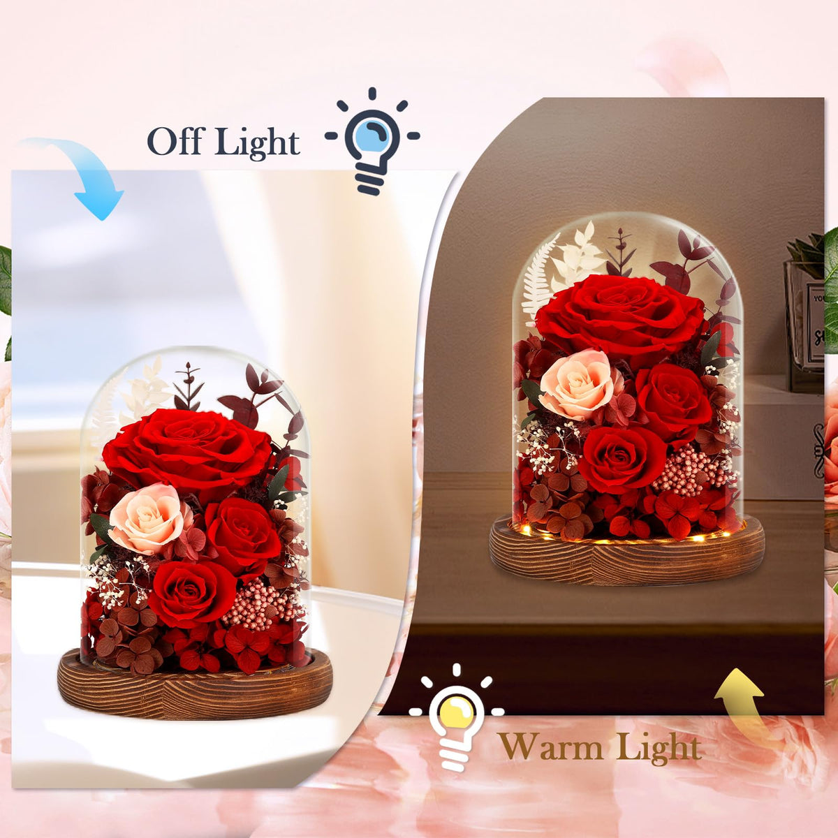 Alupssuc Mother’s Day rose-dome adds romance to any room.