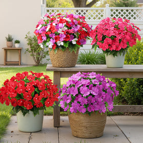 Alupssuc multi-color display assembly shows eight-bundle arrangement for varied decor.