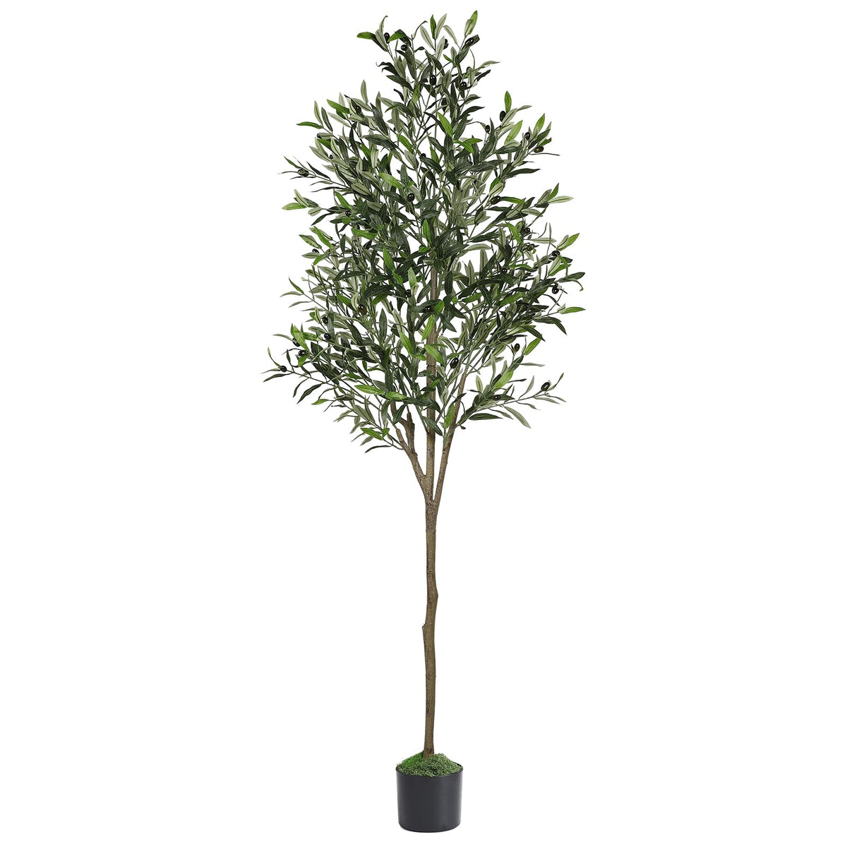 Alupssuc olive tree 6ft tall enhances living room decor with lifelike greenery.