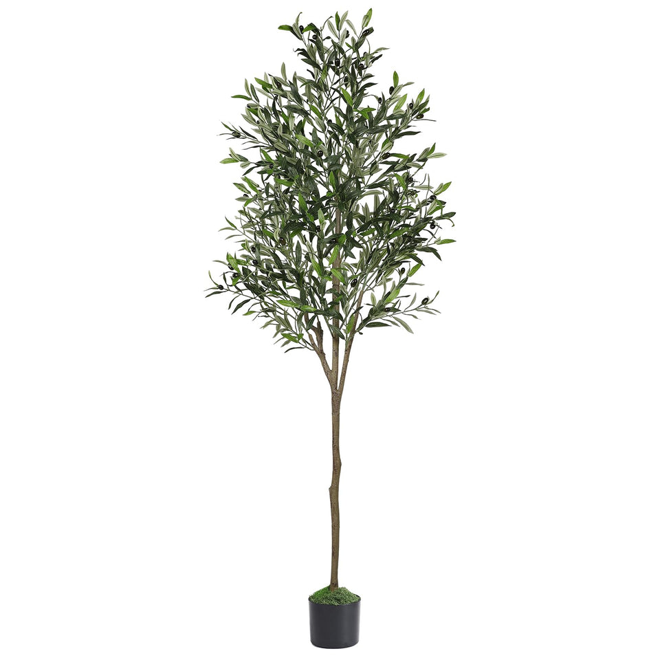 Alupssuc olive tree 6ft tall enhances living room decor with lifelike greenery.