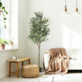 Alupssuc olive tree quick-assembly demonstrates easy setup in minutes.