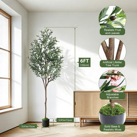 Alupssuc olive tree fruit clusters provide authentic accent without daily care.