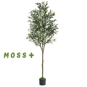 Alupssuc olive tree leaves close-up captures vibrant color for modern homes.