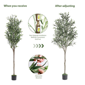 Alupssuc olive tree in a living room setup shows simple placement.
