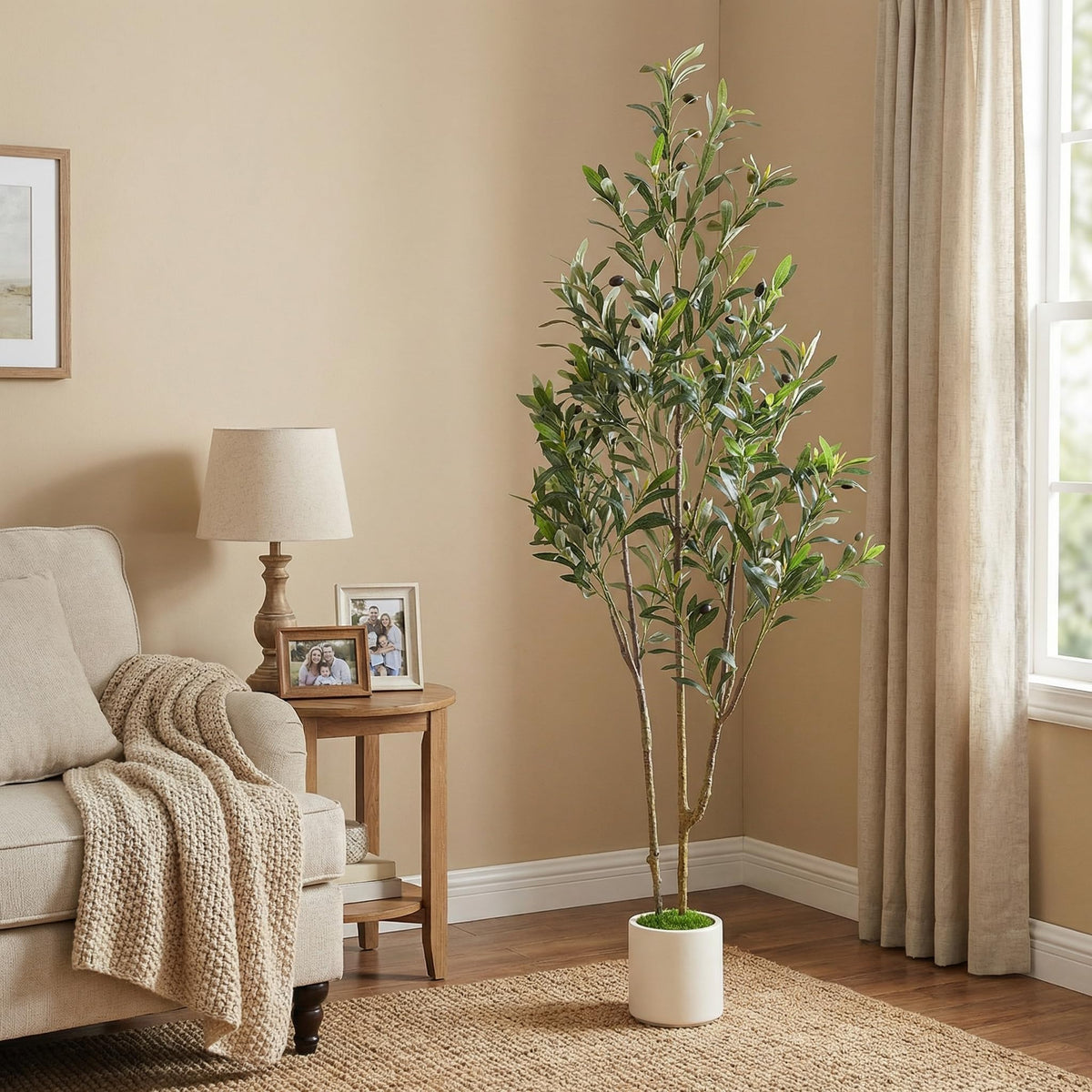 Alupssuc maintenance-free olive tree stays evergreen with dusting