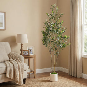 Alupssuc maintenance-free olive tree stays evergreen with dusting