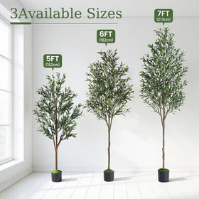 Alupssuc olive tree white planter highlights clean, contemporary styling.