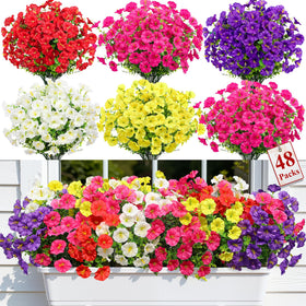 Alupssuc morning glory 48-bundle for vibrant outdoor display year-round.