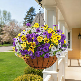 Alupssuc color variety purple-yellow-white offers versatile styling