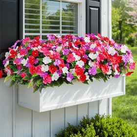 Alupssuc purple impatiens flowers brighten gardens or balconies with durable color.