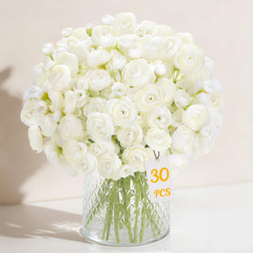 Alupssuc ranunculus ivory white bloom closeup showcasing silky petals for elegant bouquets