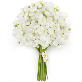 Alupssuc ranunculus ivory white buds detail ideal for layered DIY arrangements