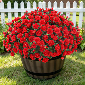 Alupssuc realistic leaves camellia close-up adds natural greenery year-round.