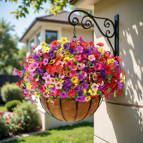 Alupssuc six colors daisy mix for versatile seasonal styling