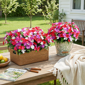 Alupssuc white impatiens bundles offer clean, fresh accents for window boxes and porches.