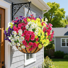 Alupssuc bright yellow blooms brighten garden planters.