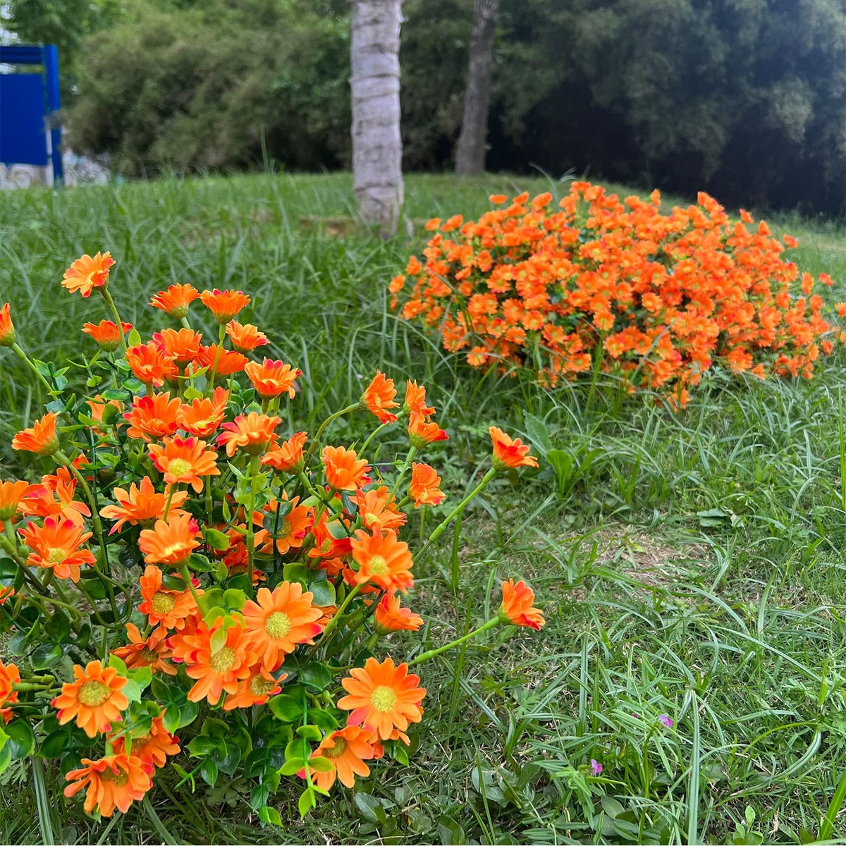 Alyptus eight-bundles pack provides bulk floral decor options.