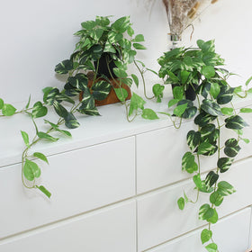 Alyptus fake pothos hanging plants in 33-inch set, add year-round greenery indoors.