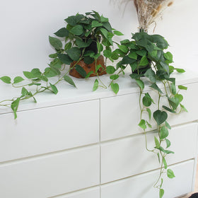Alyptus fake pothos hanging plants in two pots add vibrant, low-maintenance greenery.
