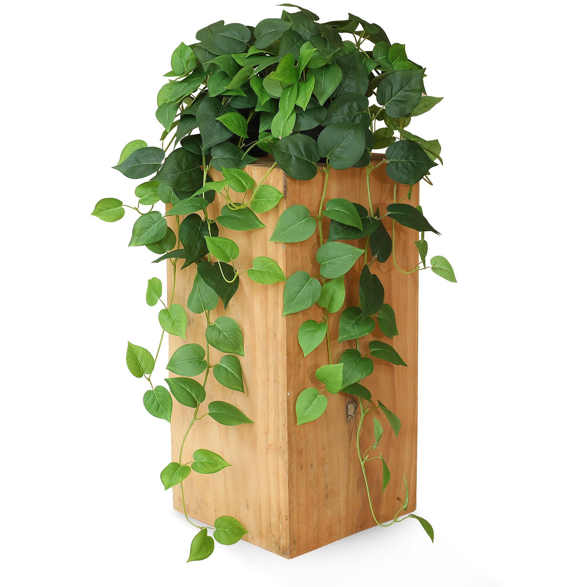 Alyptus faux pothos ivy on shelf brings year-round color with no watering.