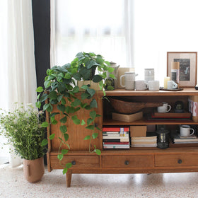 Alyptus hanging pothos plants on a decorative planter for modern rooms.