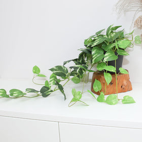 Alyptus indoor-outdoor friendly faux plants for versatile decor.
