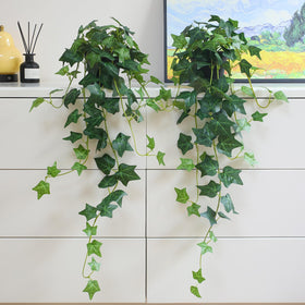 Alyptus living room ivy decor elevating shelves and desks
