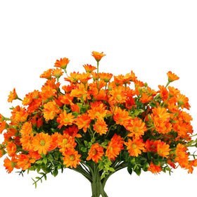Alyptus orange daisy bundle for front porch display, vibrant outdoor color.