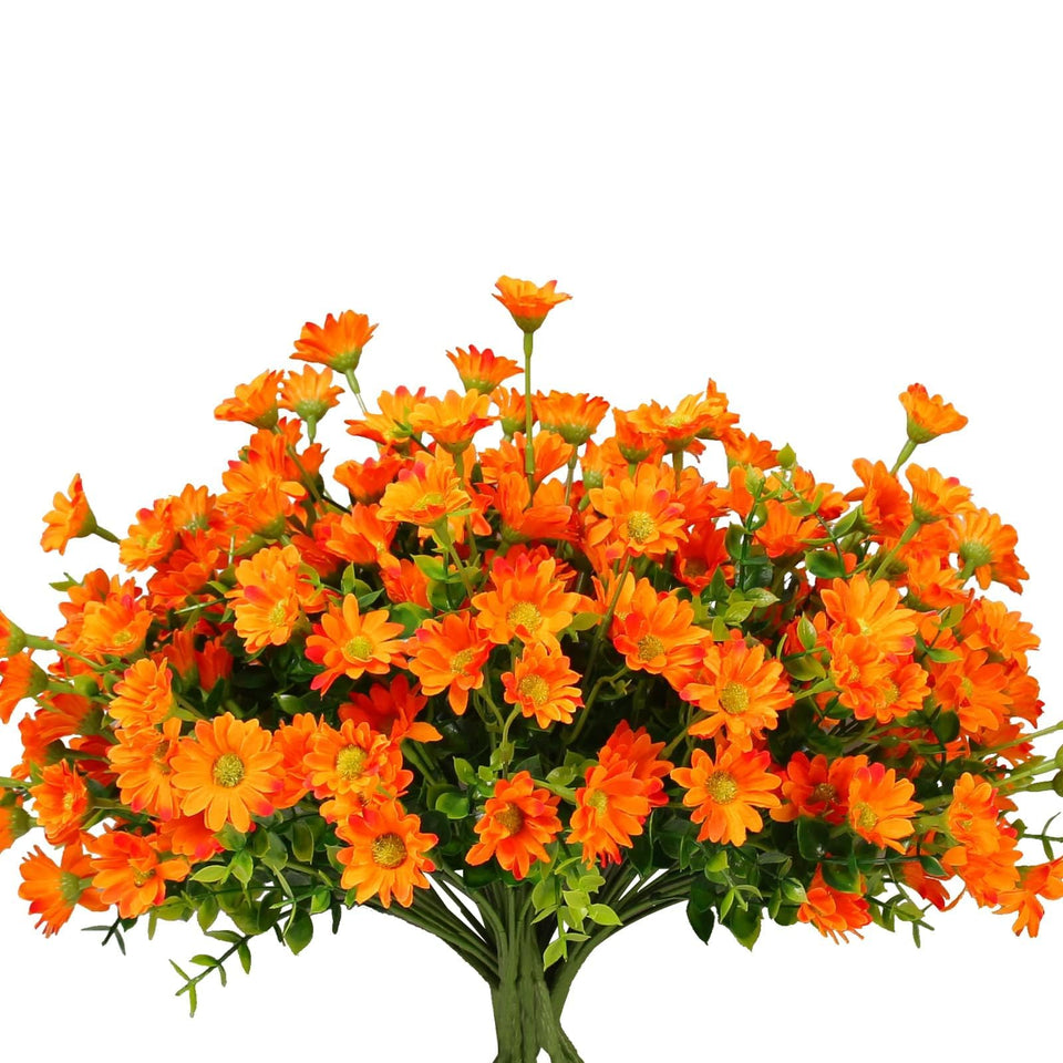 Alyptus orange daisy bundle for front porch display, vibrant outdoor color.