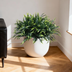 Alyptus patio greenery offers flexible styling for balconies and steps.