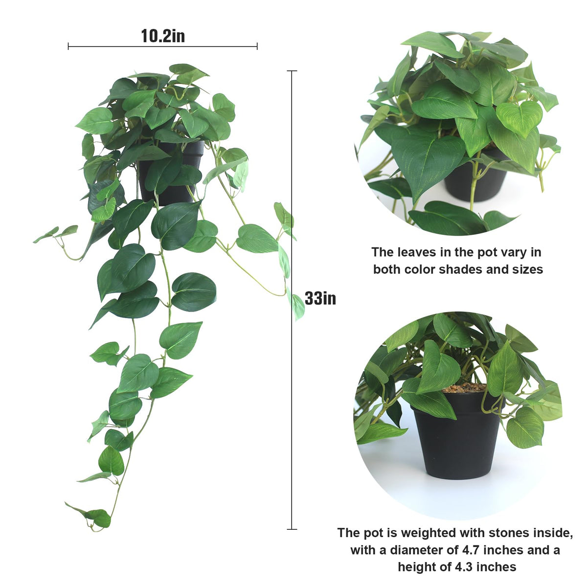 Alyptus silk devil’s ivy close-up shows realistic texture for interior décor.