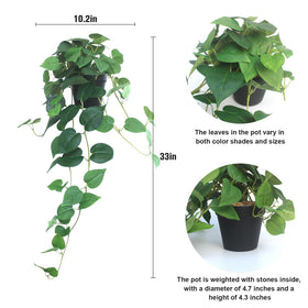Alyptus silk devil’s ivy close-up shows realistic texture for interior décor.