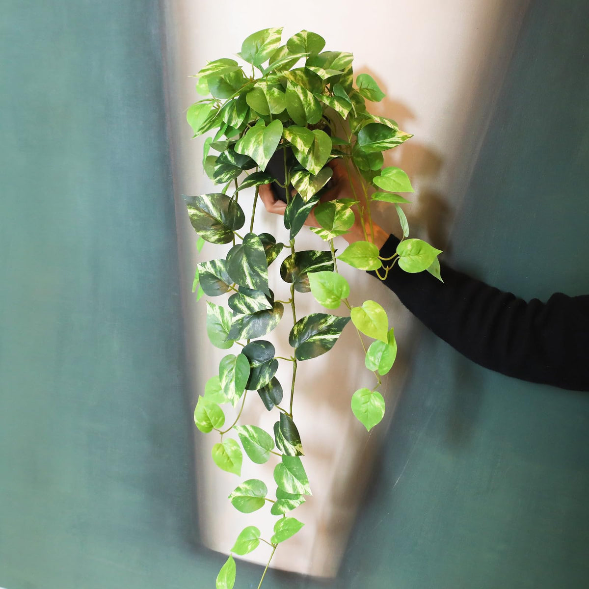 Alyptus decor fits boho to minimalist spaces with ease.