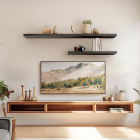 AMADA wall-mounted shelves in living room display books and décor.
