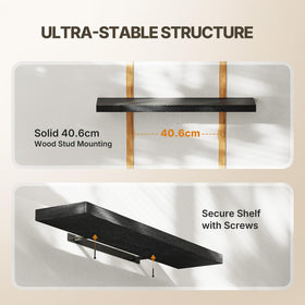 AMADA wall shelves hold small plants and photos safely.